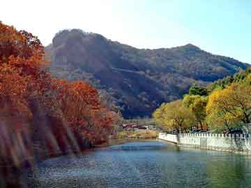 揭秘管家婆一肖一碼，探尋百分之百準(zhǔn)確的奧秘，揭秘管家婆一肖一碼，百分之百準(zhǔn)確預(yù)測(cè)的背后奧秘