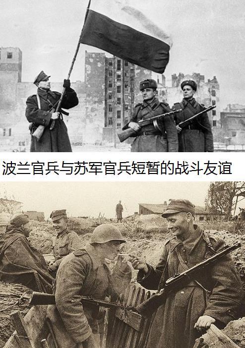波蘭第1集團(tuán)軍，歷史、現(xiàn)狀與前瞻，波蘭第1集團(tuán)軍，歷史沿革、現(xiàn)狀解析與未來(lái)前瞻