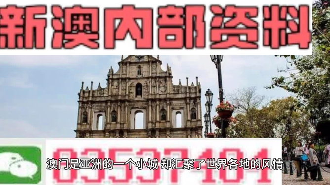 澳門金牛版免費(fèi)資料網(wǎng)澳，探索與解析，澳門金牛版資料探索與解析