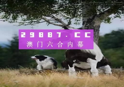 澳門(mén)跑狗，歷史、文化與現(xiàn)代娛樂(lè)的交融，澳門(mén)跑狗，歷史、文化與現(xiàn)代娛樂(lè)的交匯點(diǎn)