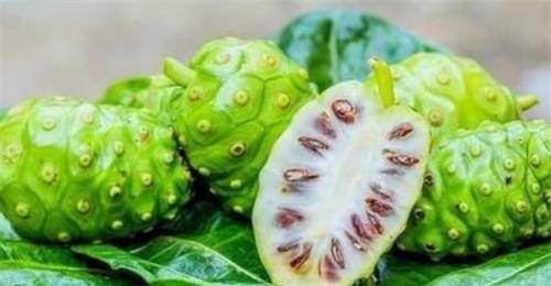 澳門最快開獎(jiǎng)與水果奶奶的故事，澳門開獎(jiǎng)速度與水果奶奶的傳奇故事