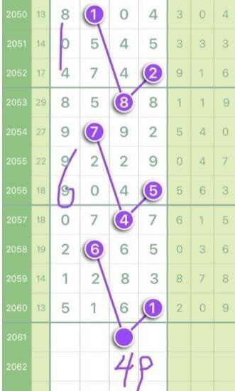 王中王最準(zhǔn)平特一肖——揭秘精準(zhǔn)預(yù)測的魅力，揭秘王中王精準(zhǔn)預(yù)測平特一肖的魅力所在