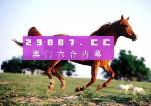 澳門一肖一碼必中一碼，探索背后的秘密與真相，澳門一肖一碼必中真相揭秘，探索背后的秘密