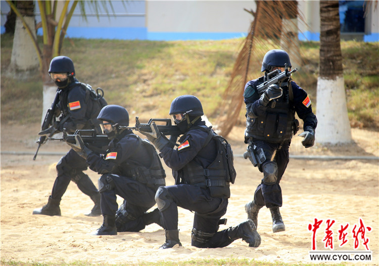 揭秘蛟龍突擊隊(duì)所屬軍種，揭秘蛟龍突擊隊(duì)所屬軍種，神秘特種部隊(duì)探秘