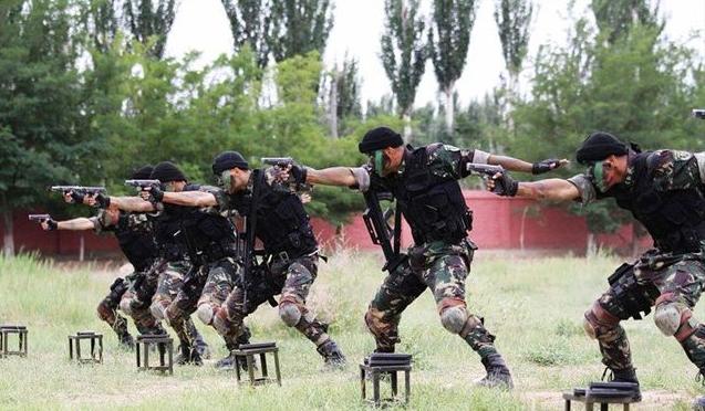 揭秘蛟龍突擊隊與先進武器，戰(zhàn)斗力倍增的力量之源，揭秘蛟龍突擊隊與先進武器，戰(zhàn)斗力倍增的源泉