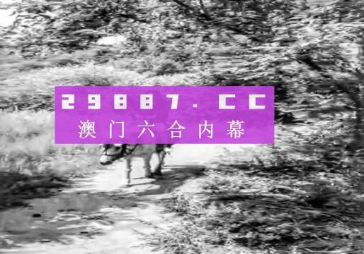 澳門(mén)六肖十八碼