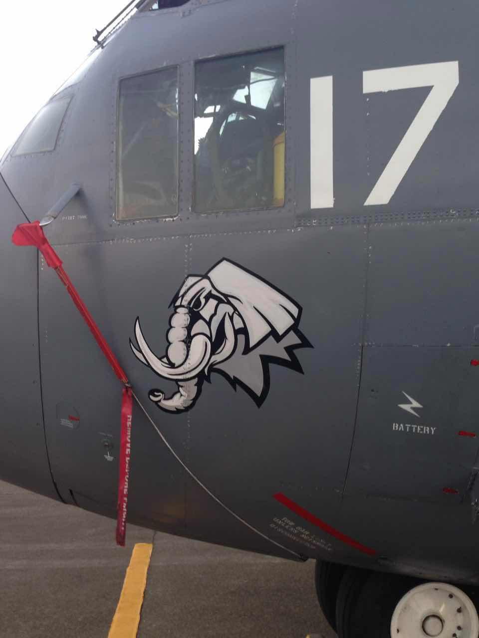 空軍徽章，榮耀的象征與力量的展現(xiàn)，空軍徽章，榮耀與力量的象征