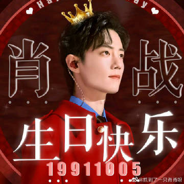 一肖一碼一一肖一子，探尋背后的神秘與魅力，探尋生肖一碼一子的神秘魅力與背后故事