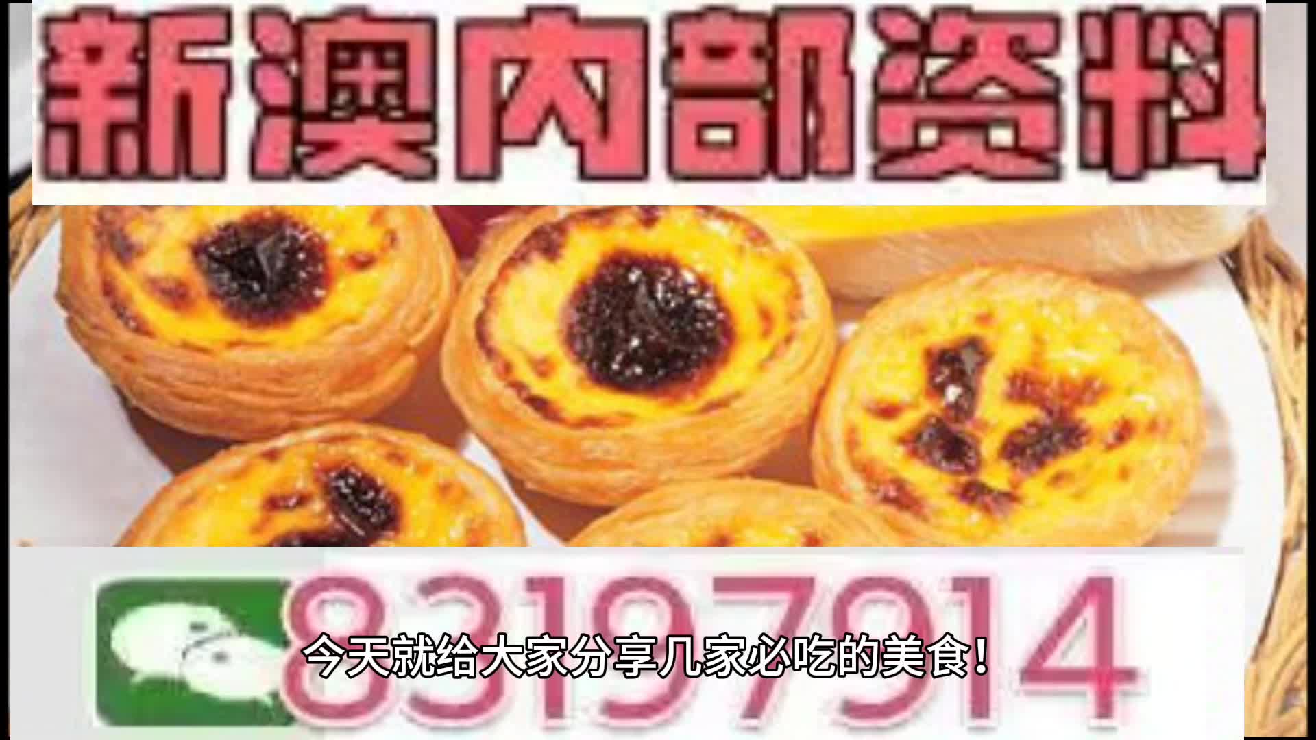 新澳門一肖一碼中特的探索與解讀，澳門一肖一碼中特，解讀與探索