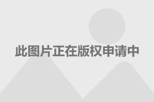 三軍儀仗隊圖片Logo，榮耀的象征與國家的驕傲，三軍儀仗隊圖片Logo，國家榮耀與驕傲的典范