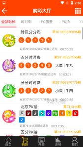 探索域名WWW背后的故事，王中王平特一肖的神秘面紗與數(shù)字世界的啟示，揭秘WWW背后的故事，王中王平特一肖的數(shù)字世界之謎與啟示
