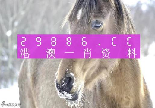 澳門一肖一碼，揭秘背后的秘密與真相，澳門一肖一碼揭秘背后的秘密真相大揭秘