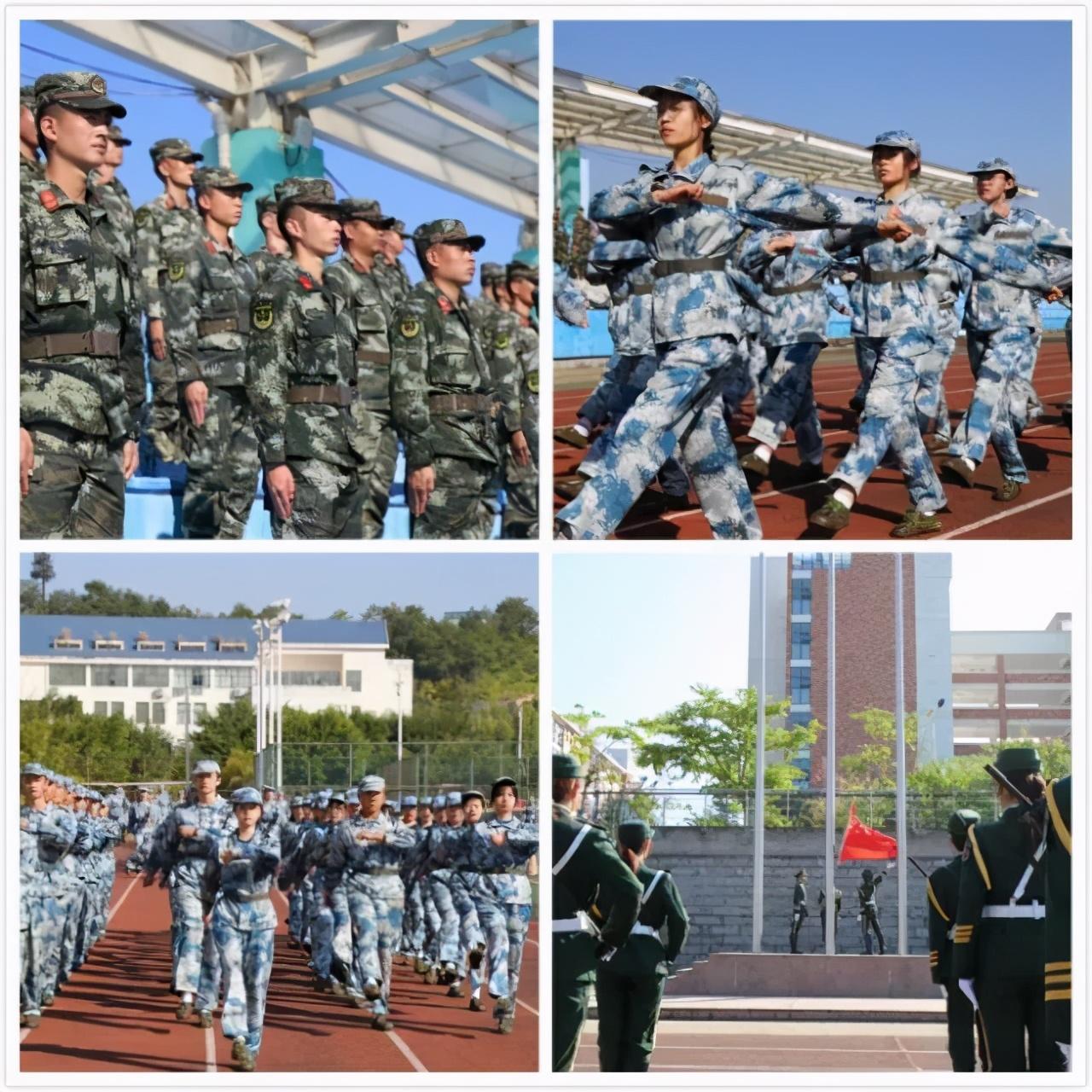 中央軍事頻道在2020年的表現(xiàn)與影響，中央軍事頻道在2020年的表現(xiàn)及其影響力分析