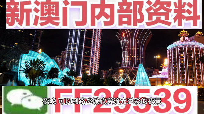 澳門今晚必開一肖一特，探索幸運(yùn)背后的秘密，澳門今晚必開一肖一特，揭開幸運(yùn)背后的秘密之旅