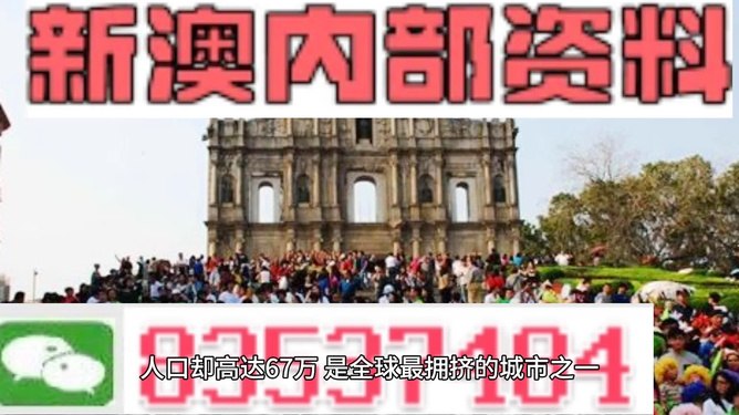 新澳門正版免費(fèi)資料的查找方法與使用指南，澳門正版免費(fèi)資料查找方法與使用指南