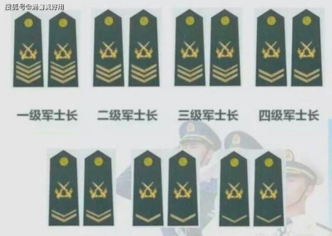 七級士官軍銜，榮譽與責任的象征，七級士官軍銜，榮譽與責任的標志