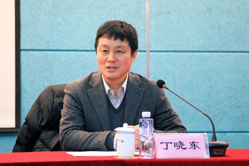 獨(dú)臂丁曉東，堅毅與力量的象征，獨(dú)臂丁曉東，堅毅與力量的典范