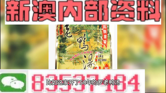 新澳2025年正版資料深度解析，新澳2025年正版資料深度剖析