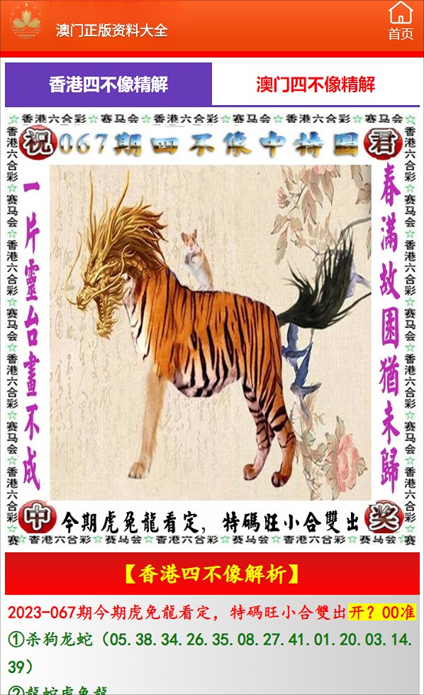 一肖中特深度解析