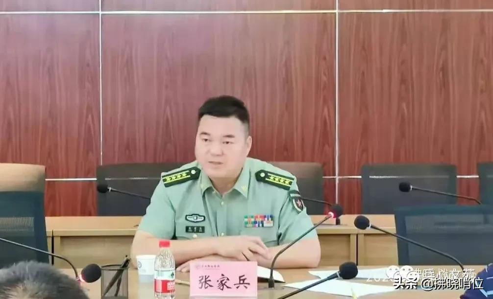 集團(tuán)軍處長(zhǎng)級(jí)別的職責(zé)與角色解析，集團(tuán)軍處長(zhǎng)級(jí)別的職責(zé)與角色深度解析