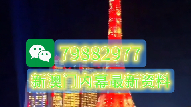 澳門今晚必開一肖一特，探索背后的文化魅力與預(yù)測邏輯，澳門今晚生肖預(yù)測背后的文化魅力與預(yù)測邏輯探索