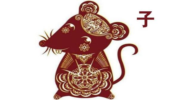 今晚一定出準(zhǔn)確生肖，探尋生肖預(yù)測的魅力與真相，探尋生肖預(yù)測魅力與真相，今晚準(zhǔn)確生肖揭曉之夜