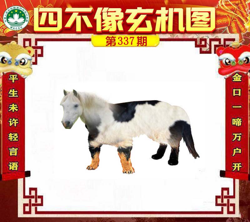 王中王四不像圖必中一肖，探索神秘圖騰與生肖的奧秘，神秘圖騰與生肖之謎，王中王四不像圖必中一肖探索
