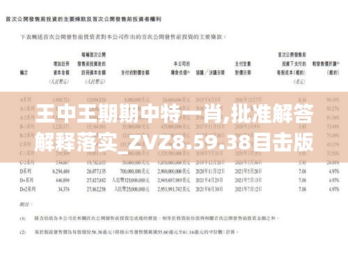 王中王一肖期石，探尋傳奇背后的故事，王中王一肖期石，傳奇背后的故事揭秘