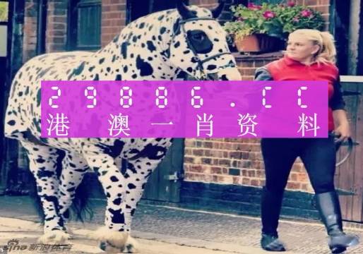 王中王一肖一馬中特之獨特魅力與深層含義，王中王一肖一馬，獨特魅力與深層內(nèi)涵揭秘