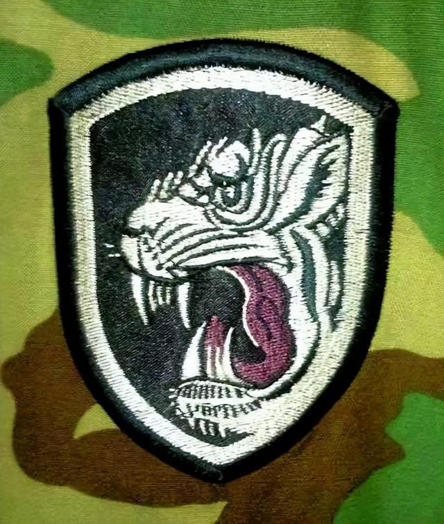 揭秘飛虎師臂章，一段關(guān)于榮譽與歷史的傳奇故事，飛虎師臂章背后的榮譽與傳奇故事