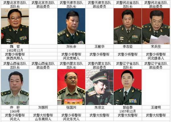 中國現(xiàn)役將軍數(shù)量概況，聚焦2020年的數(shù)據(jù)解析，中國現(xiàn)役將軍概況深度解析，聚焦2020年數(shù)據(jù)報告