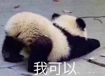 澳門最準四不像，神秘與魅力的獨特融合，澳門神秘四不像，獨特魅力的融合之旅