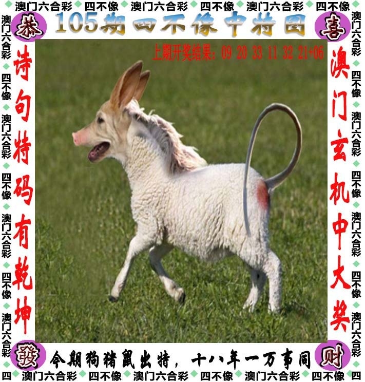 澳門精準四不像，探索與預(yù)測到2025年，澳門精準四不像，未來至2025年的探索與預(yù)測
