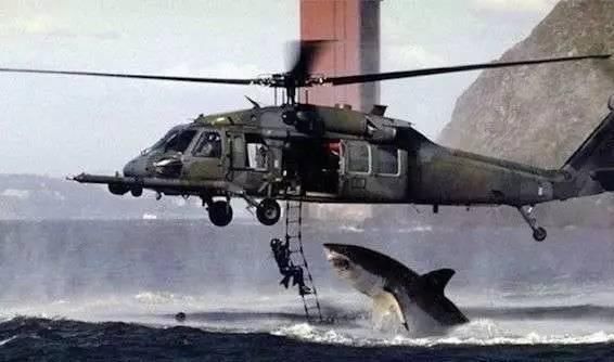 鯊魚直升機，空中霸主的力量與威嚴，鯊魚直升機，空中霸主之力量與威嚴展示